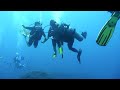 Koh tao diving/ Chumpon pinnacle