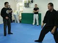 Module 4 Set 3 Hicho - Side Kick