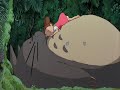 hayao-miyazakimy-neighbor-totoro-anime-movie.html