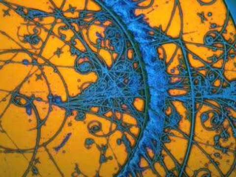 An Introduction to the Big Bang ...