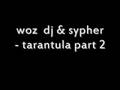 woz dj & sypher - tarantula part 2