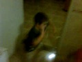 joao