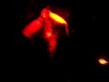 deadstar assembly live in iowa send me an angel