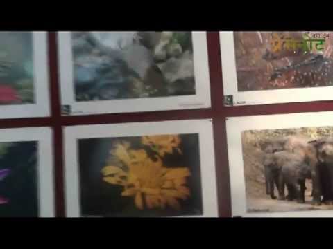 58th Wildlife exhibition at Information Center