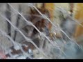 V1021 17 05 12