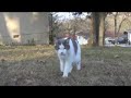 Panasonic PV-GS320 Test