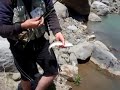 Pesca con mosca, el truchon del d�a