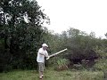 Lançador de laranjas! Lançador de laranjas!
