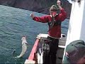 Gone Fishin