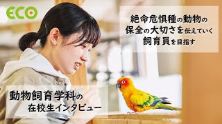 北海道エコ　Youtube Pickup!