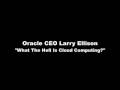 Larry Ellison - What The Hell Is Cloud Computing?