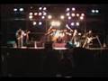 Live Wire by Brier Roots