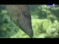 Dubinomjer - Uvod u ronjenje 2/3