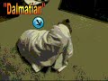 Dalmatian Cartoon Version