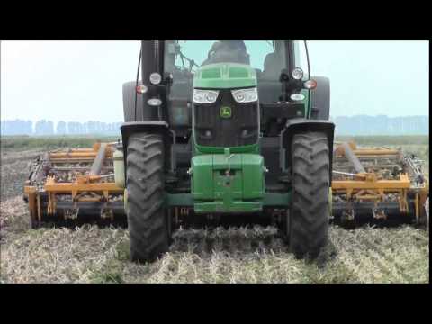 how to harvest onions uk