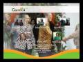 Click here to watch this video imelstudio - Contoh menu DVD Ganeca