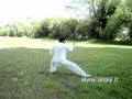 Maestro shao zhong T.C.C. stile chen Video