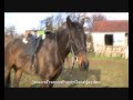 Raw Clips For MintyBabesxo and reachforthesky14 and EmmaAbby09horses