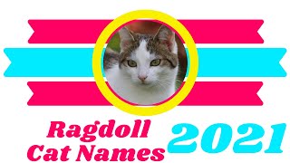 30 Best Ragdoll Cat Names Ideas With Meaning 2021 ! Unique Cat Names ! Pet Lovers