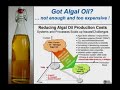 The Biology and Business of Biofuels: Algae as Biofuel