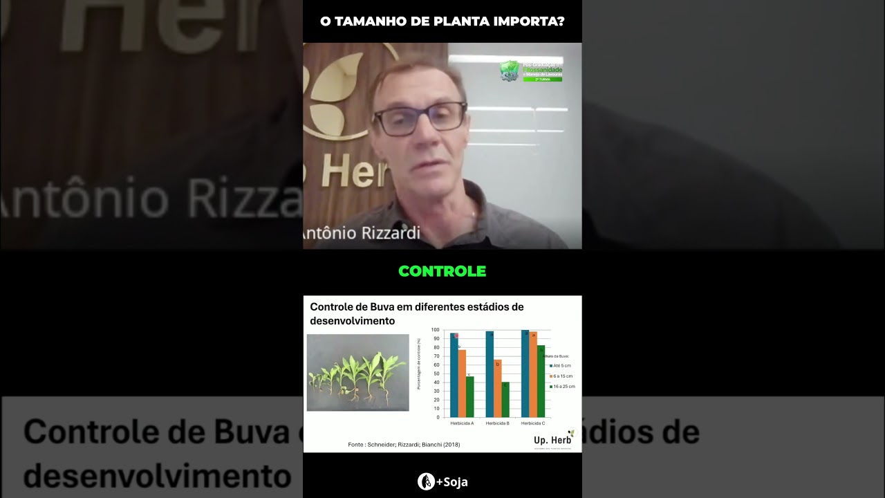 O tamanho de planta é fundamental
