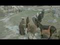 Heaven In A Manger / The Nativity Story