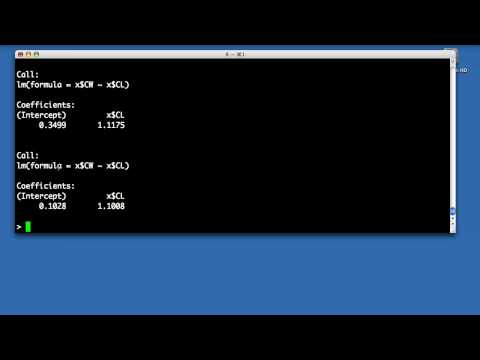 Looping and subsetting in R
