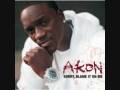videos de Akon Feat Kardinal Offishal-Dangerous [REMIX]