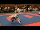 open tapilatu zeeuwse taekyon en hoxter 2008