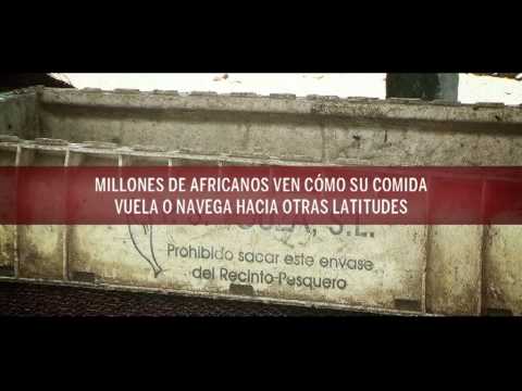 Imagen de previsualización de YouTube
