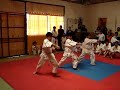 seminario shotokan 1�parte