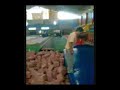Oz backflip liga gimnasia AQP