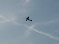 Fokker DVIII maiden flight Fokker DVIII maiden flight