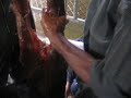 kelahiran anak mafriwal2 kelahiran anak mafriwal2
