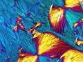 From amino acids to aurora borealis