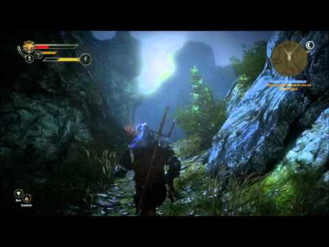 The Witcher 2 : Assassins of Kings