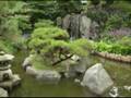 videos de Chanhassen Arboretum