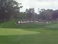 Innisbrook Golf