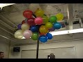 Living Art - Balloon Tree Living Art - Balloon Tree