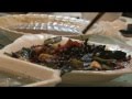 World Business: China Food Security -- 08/07/11 (0:05:09)