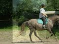 lilou des landes lilou des landes