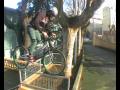 david sellero-zoo video 1