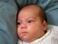 videos de Bebes mellizos