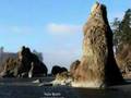 Wild Beaches of Olympic Peninsula - YouTube
