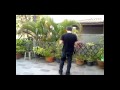 Videominuto_historia2.avi