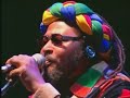 edson gomes y cao de ra�a en concierto.