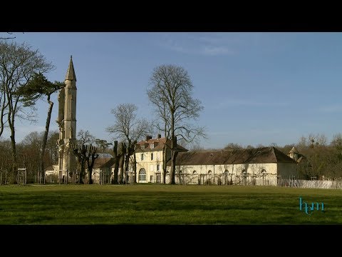 Image de prévisualisation YouTube