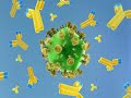 Testing for HIV (HIV #3) Testing for HIV (HIV #3)