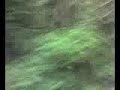 here's a stolen short video. it was found on a mobile phone by the police in an unkown county.the teenagers are still missing. it looks like a survival horror movie!