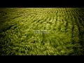 Nature Sound 19 - THE MOST RELAXING SOUNDS -
